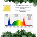 ISH F BAR V5 Evo - Horticultural lighting system - Powered by Samsung LED