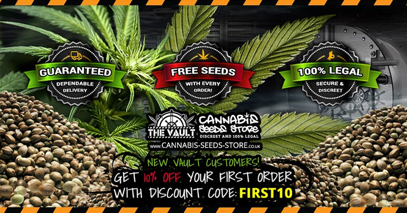 Welcome to the Vault online seed store