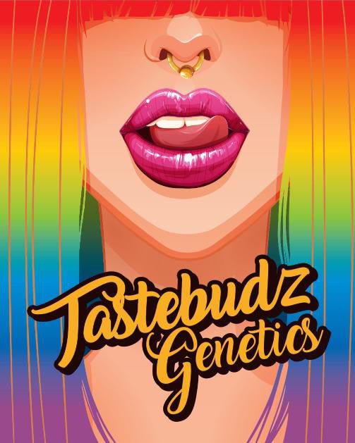 Introducing our friends Tastebudz Genetics