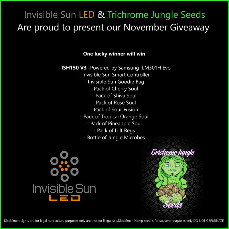 Invisible Sun & Trichrome Jungle bring to you a Black Friday Instagram Giveaway