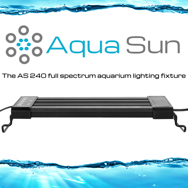 Aqua Sun - AS 240