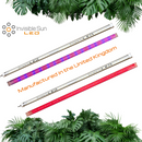 F Bar evo and SL80 2 pack Bundle - Powered by Samsung LED