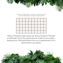 ISH F BAR V5 Evo - Horticultural lighting system - Powered by Samsung LED