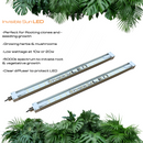 Invisible Sun - Clone & Rooting Bar