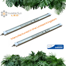 Invisible Sun - Clone & Rooting Bar