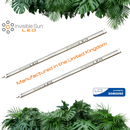 Invisible Sun - Clone & Rooting Bar