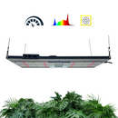 ISH265 V5 Evo - Horticultural Lighting System - Powered By Samsung LED & Osram LED