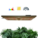 ISH265 ECLIPSE Evo - Horticultural Lighting System - Powered by Samsung LED